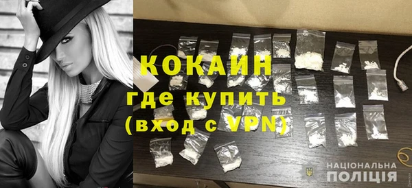 МДПВ Снежногорск
