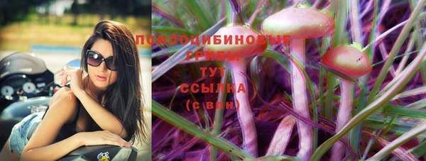 таблы Алзамай
