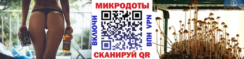Псилоцибиновые грибы Psilocybe  Ветлуга 